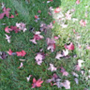 Meet your Posher, Edwin